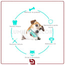 DentPlay – Brinquedo Interativo de Mastigar e Limpar Dentes para Cães